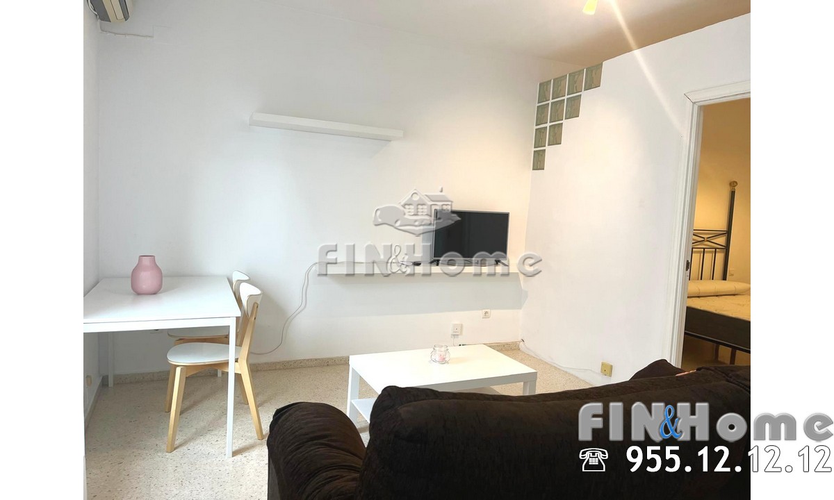 PRECIOSO SALON LUMINOSO