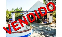 Fincas rústicas en bormujos vendidas por inmobiliaria finandhome de sevilla referencia FH03977