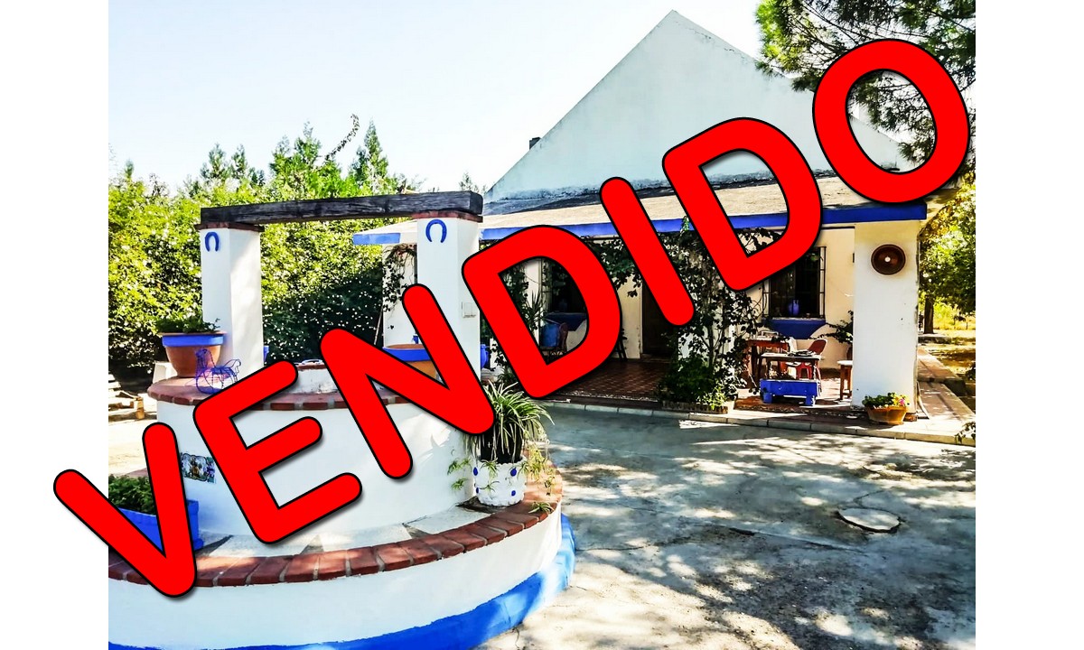 Fincas rústicas en bormujos vendidas por inmobiliaria finandhome de sevilla referencia FH03977